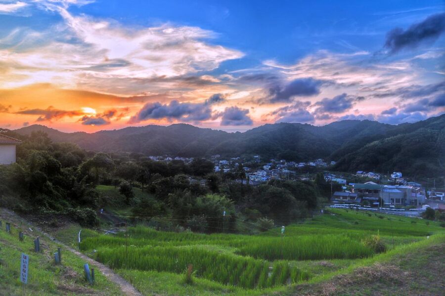 Hayama03-900x600